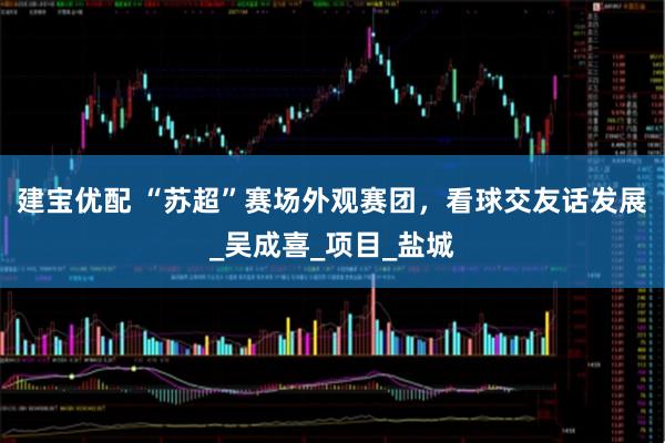 建宝优配 “苏超”赛场外观赛团，看球交友话发展_吴成喜_项目_盐城